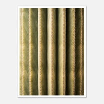 Close-up cactus wall art showing vertical ribs and spines in a minimalist desert composition.