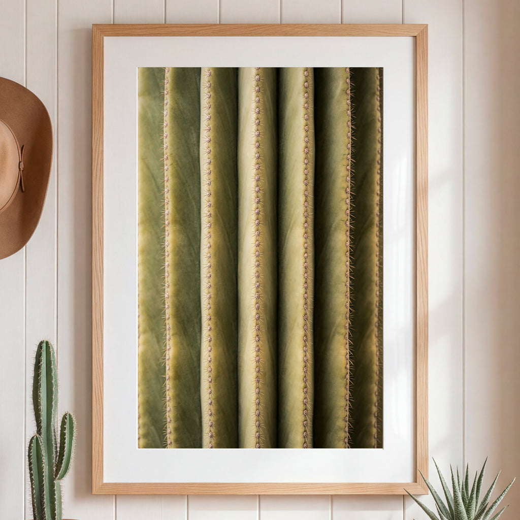 Framed artwork of a cactus on a wall with a hat and plants.
