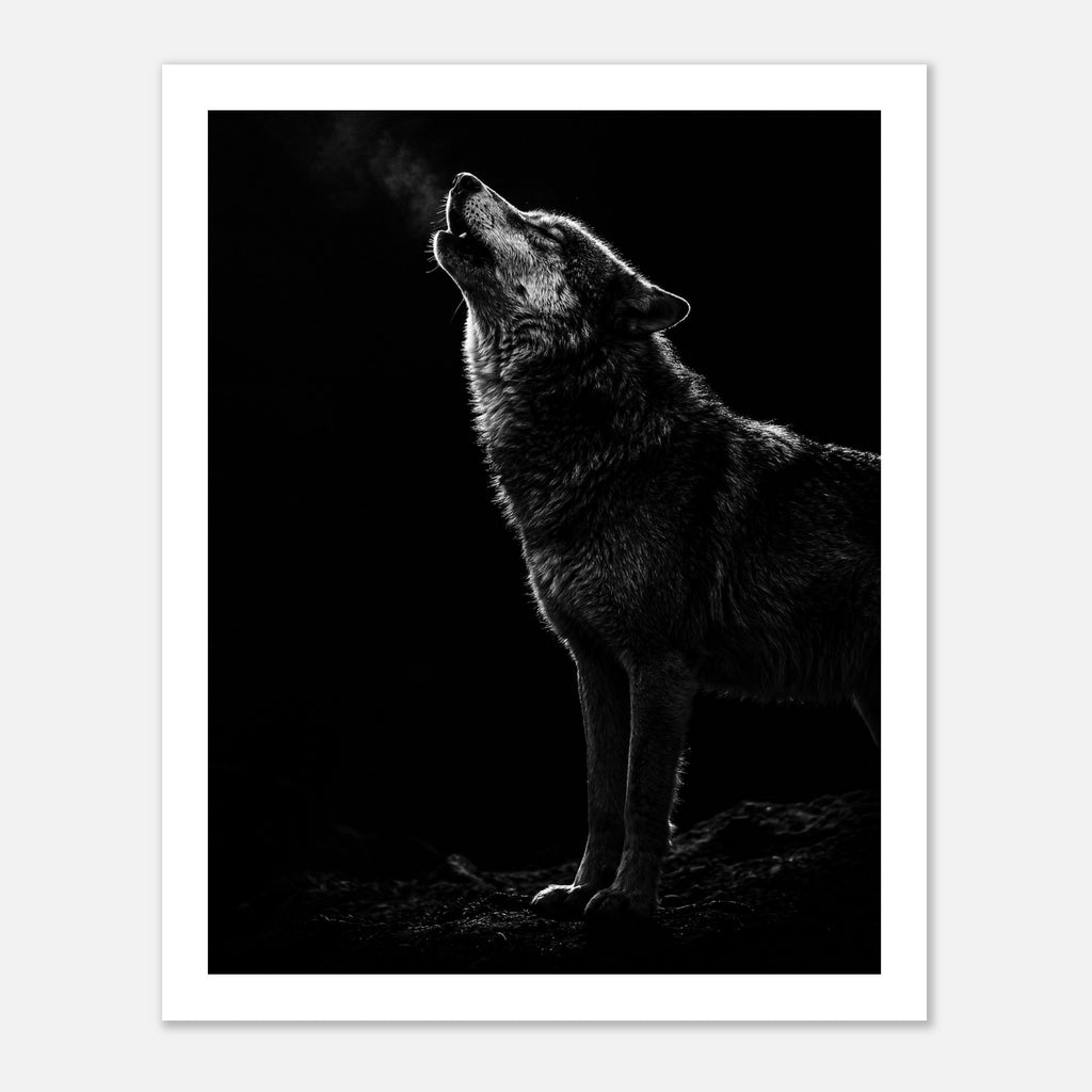 Black and white photograph of a wolf howling into the night with visible breath in cold air, wildlife wall art poster.