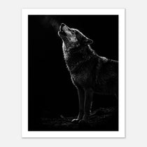 Black and white photograph of a wolf howling into the night with visible breath in cold air, wildlife wall art poster.