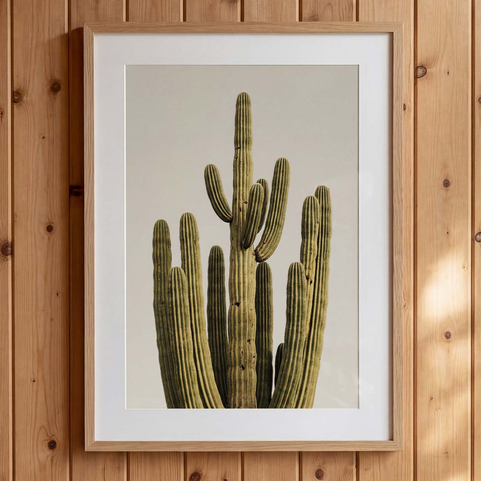 Framed picture of a cactus on a wooden wall