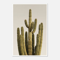 Minimalist desert cactus wall art featuring a tall cactus against a neutral background.
