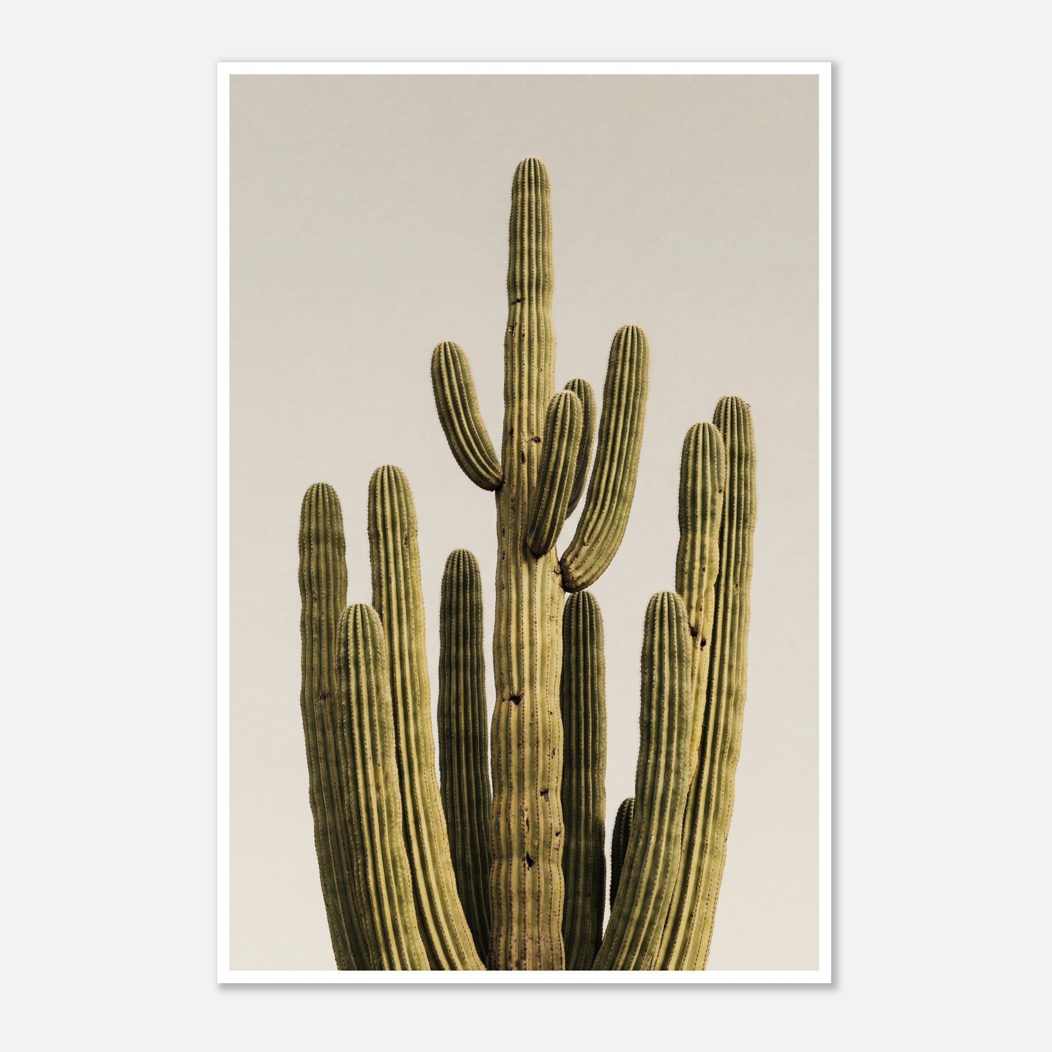 Minimalist desert cactus wall art featuring a tall cactus against a neutral background.