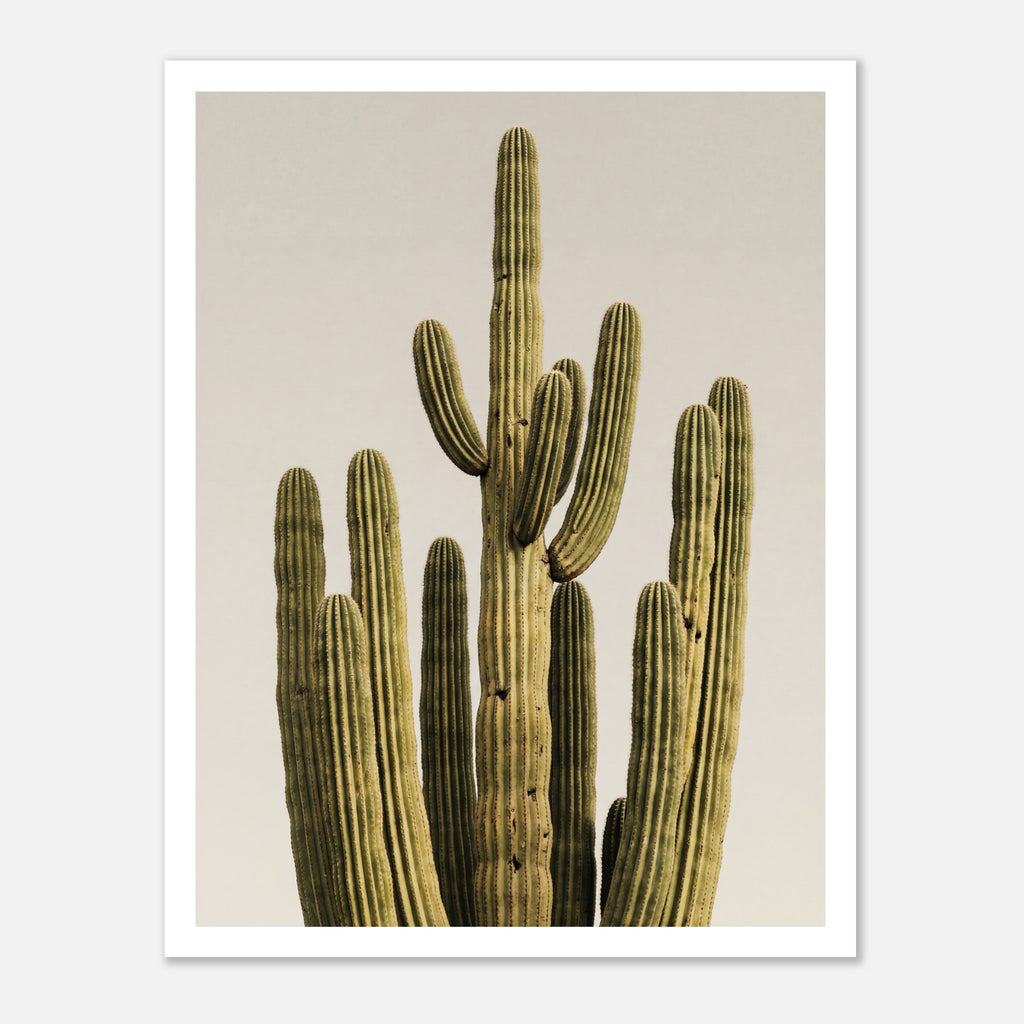 Minimalist desert cactus wall art featuring a tall cactus against a neutral background.