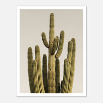 Minimalist desert cactus wall art featuring a tall cactus against a neutral background.