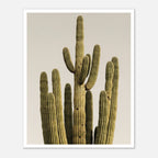 Minimalist desert cactus wall art featuring a tall cactus against a neutral background.