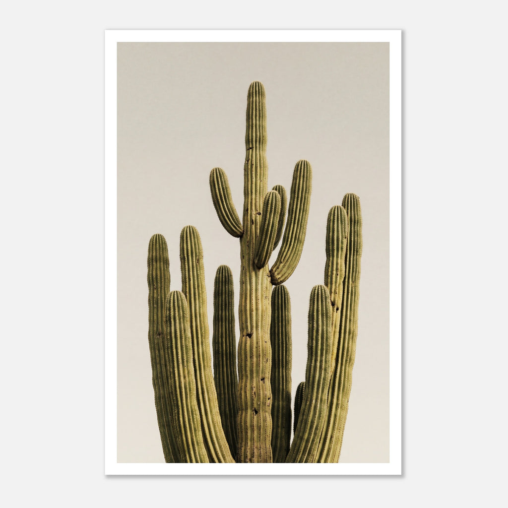 Minimalist desert cactus wall art featuring a tall cactus against a neutral background.