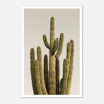 Minimalist desert cactus wall art featuring a tall cactus against a neutral background.