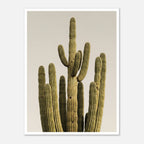 Minimalist desert cactus wall art featuring a tall cactus against a neutral background.