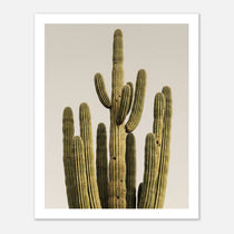 Minimalist desert cactus wall art featuring a tall cactus against a neutral background.