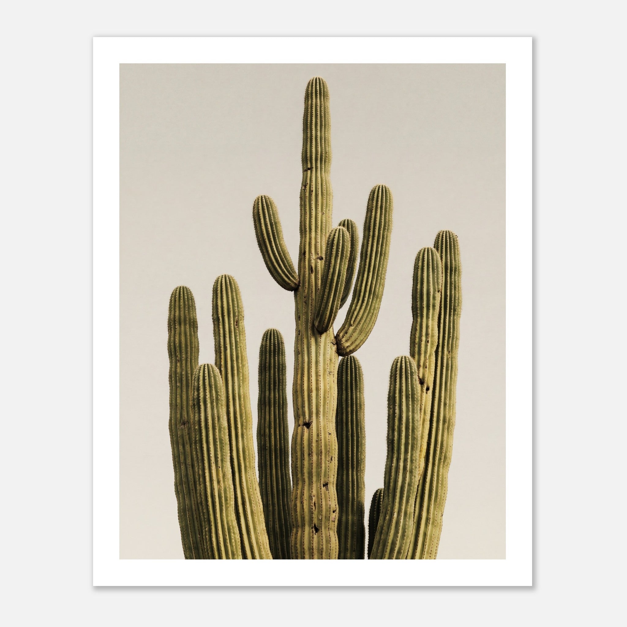 Minimalist desert cactus wall art featuring a tall cactus against a neutral background.