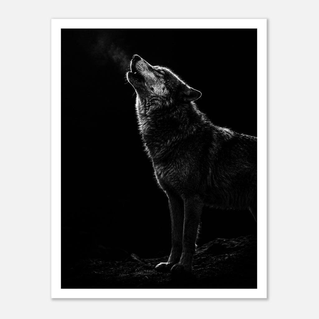 Black and white photograph of a wolf howling into the night with visible breath in cold air, wildlife wall art poster.