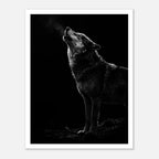Black and white photograph of a wolf howling into the night with visible breath in cold air, wildlife wall art poster.