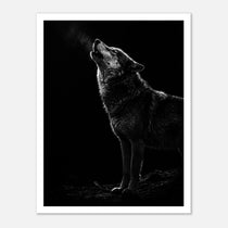 Black and white photograph of a wolf howling into the night with visible breath in cold air, wildlife wall art poster.