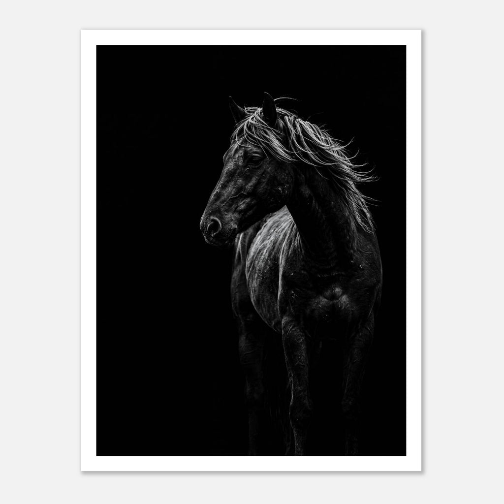 Black and white portrait of a wild stallion with flowing mane emerging from darkness, western horse wall art poster.
