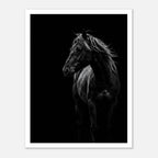 Black and white portrait of a wild stallion with flowing mane emerging from darkness, western horse wall art poster.