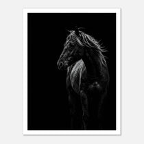 Black and white portrait of a wild stallion with flowing mane emerging from darkness, western horse wall art poster.