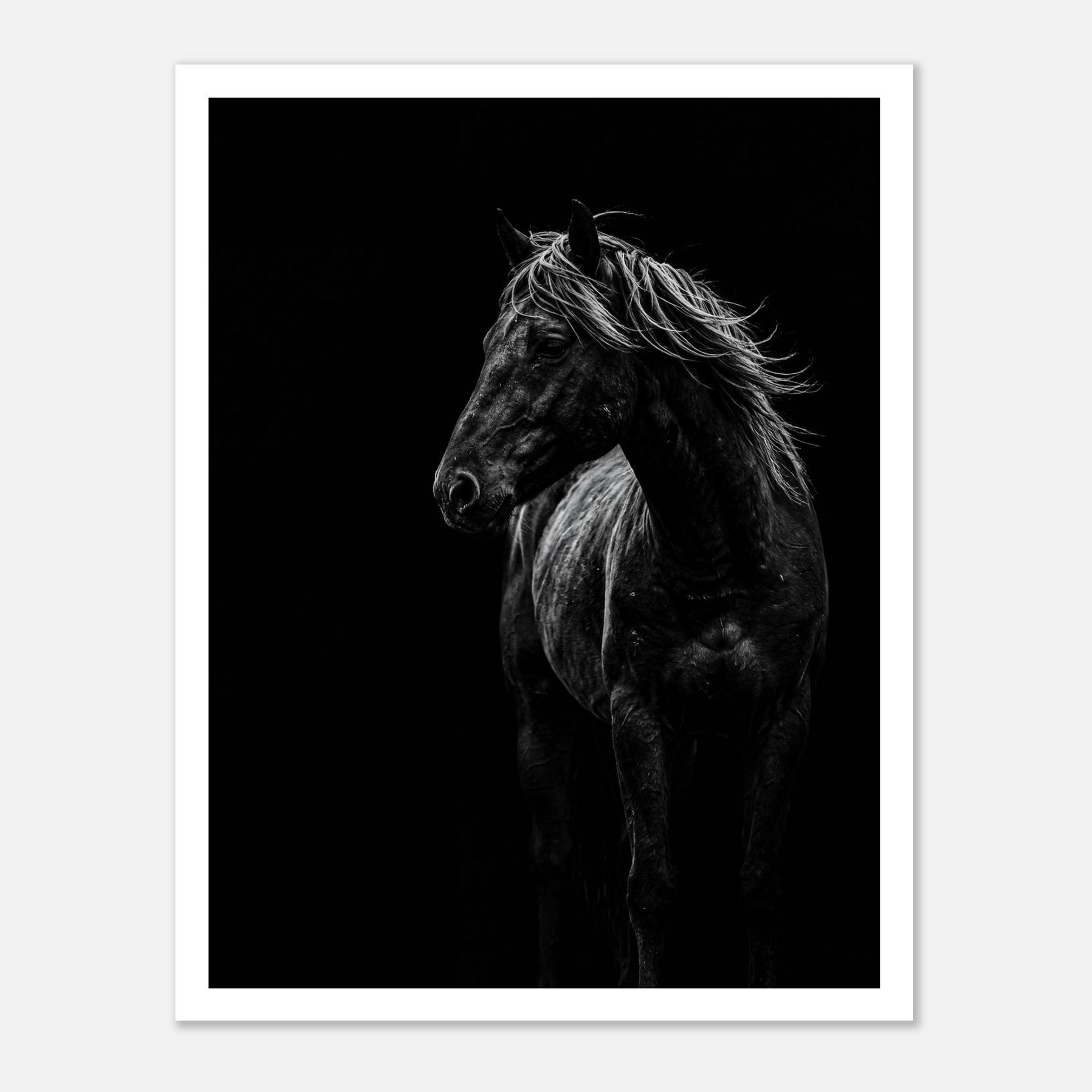 Black and white portrait of a wild stallion with flowing mane emerging from darkness, western horse wall art poster.