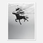 Black and white horse underwater wall art showing a horse in motion beneath the water surface.