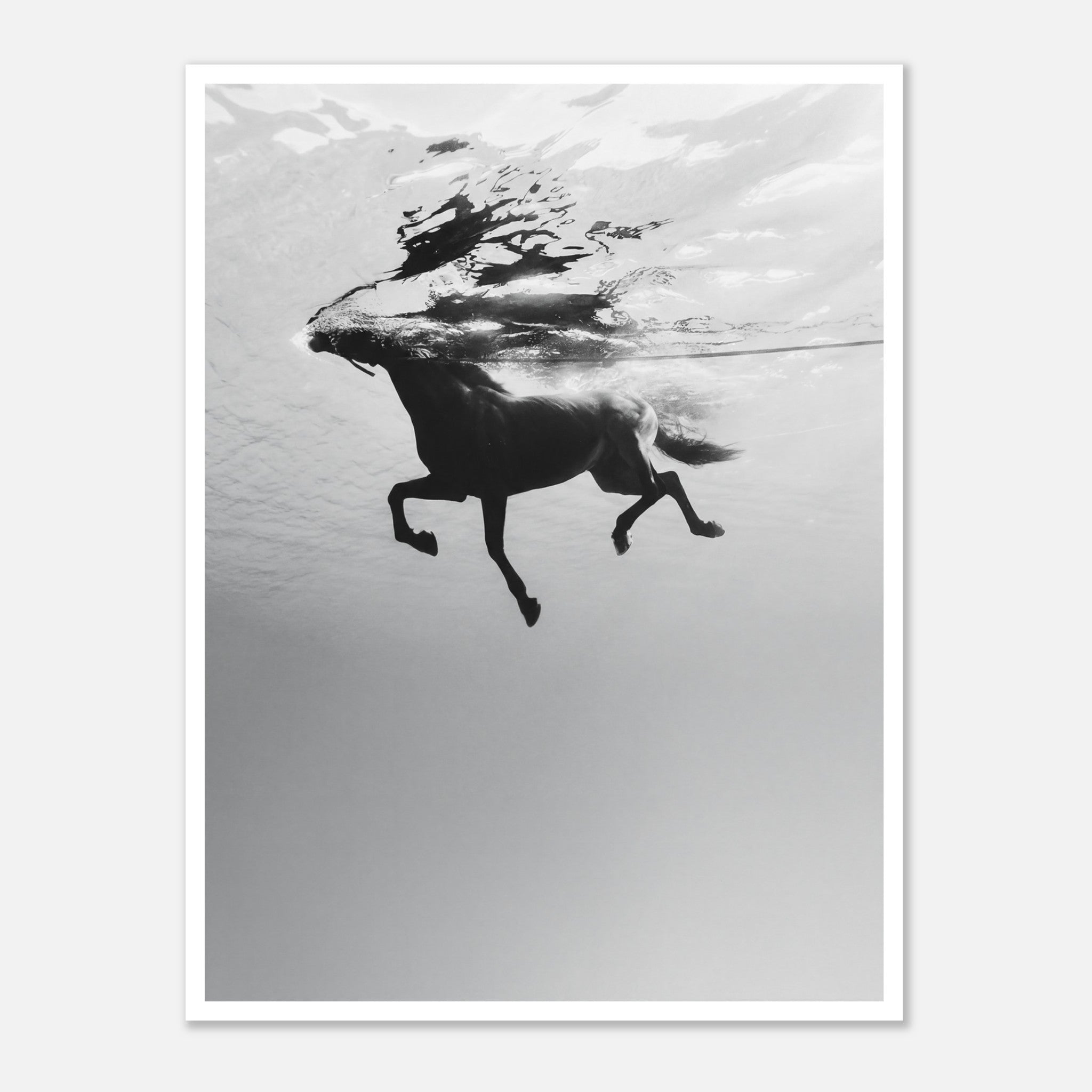 Black and white horse underwater wall art showing a horse in motion beneath the water surface.