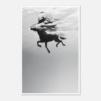 Black and white horse underwater wall art showing a horse in motion beneath the water surface.