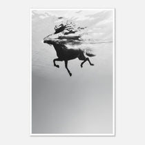 Black and white horse underwater wall art showing a horse in motion beneath the water surface.