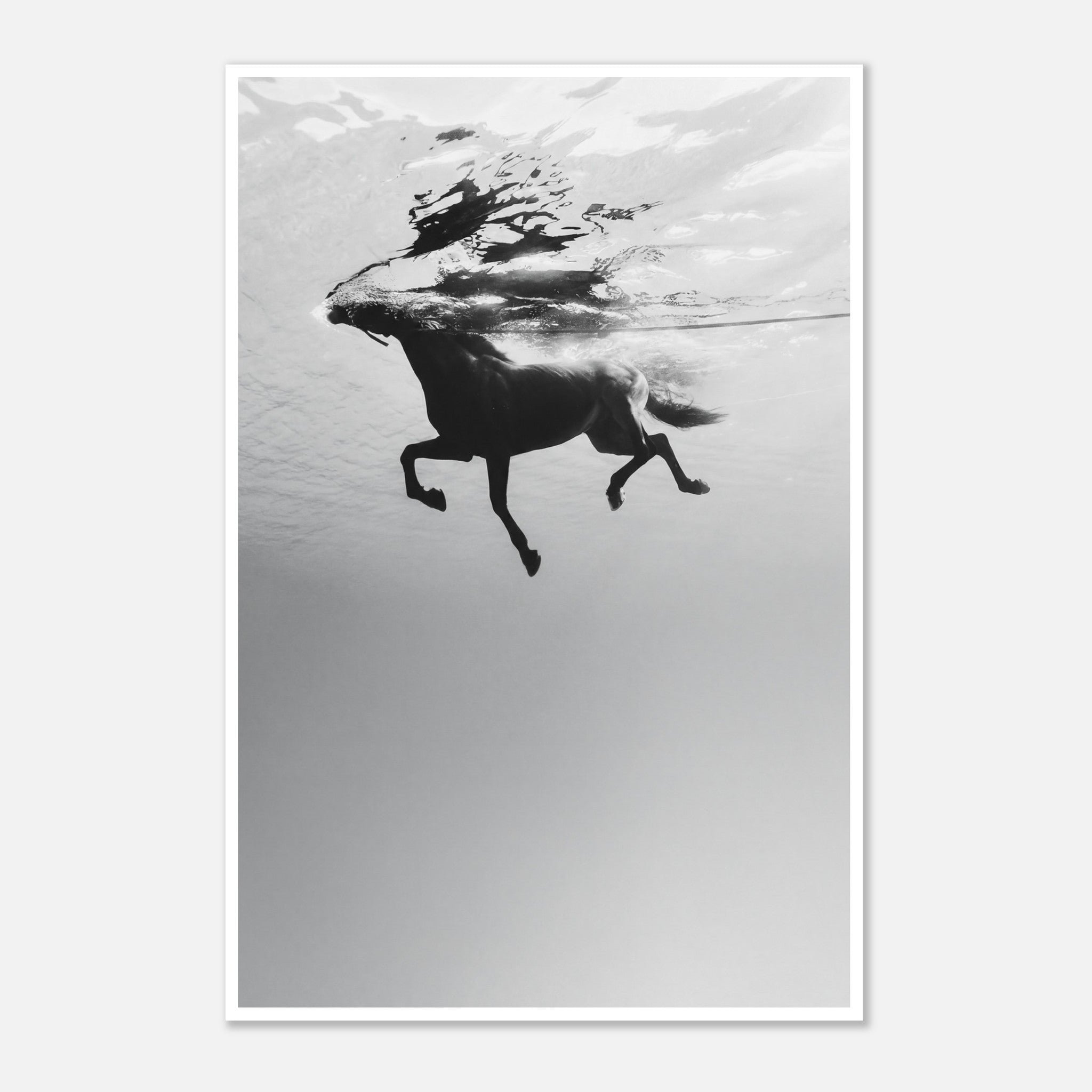 Black and white horse underwater wall art showing a horse in motion beneath the water surface.