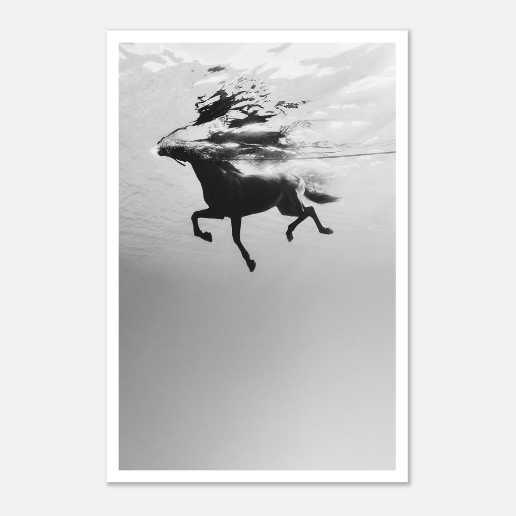 Black and white horse underwater wall art showing a horse in motion beneath the water surface.