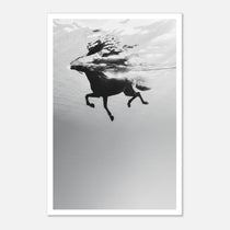 Black and white horse underwater wall art showing a horse in motion beneath the water surface.