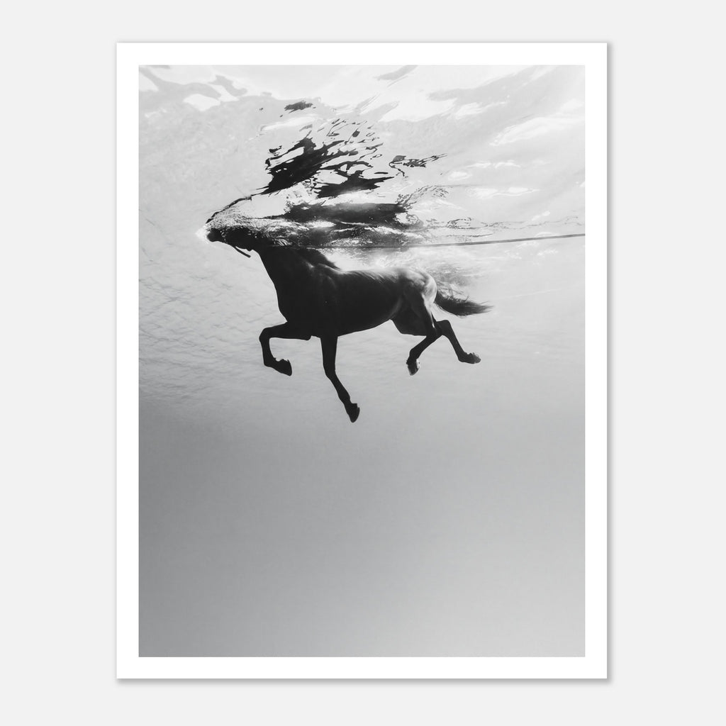Black and white horse underwater wall art showing a horse in motion beneath the water surface.