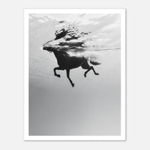 Black and white horse underwater wall art showing a horse in motion beneath the water surface.