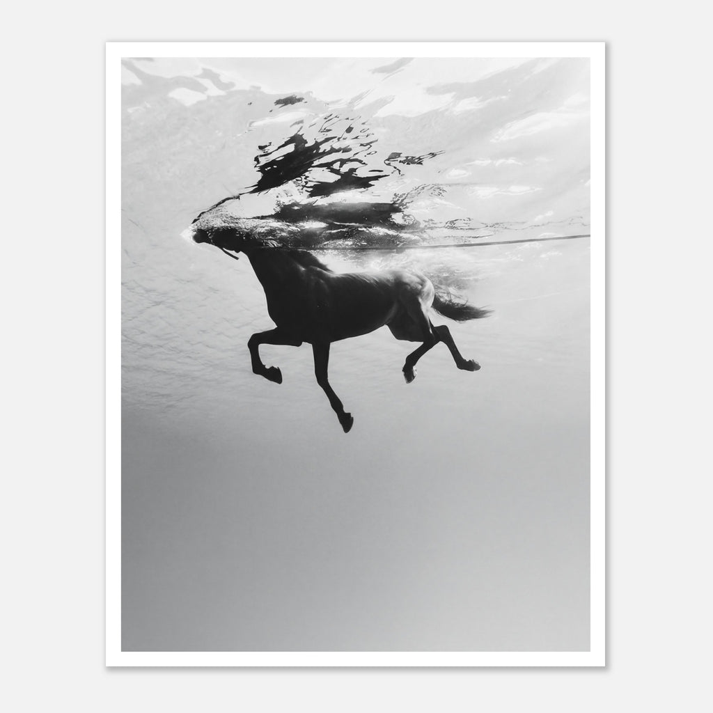 Black and white horse underwater wall art showing a horse in motion beneath the water surface.