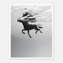 Black and white horse underwater wall art showing a horse in motion beneath the water surface.