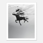 Black and white horse underwater wall art showing a horse in motion beneath the water surface.