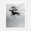 Black and white horse underwater wall art showing a horse in motion beneath the water surface.