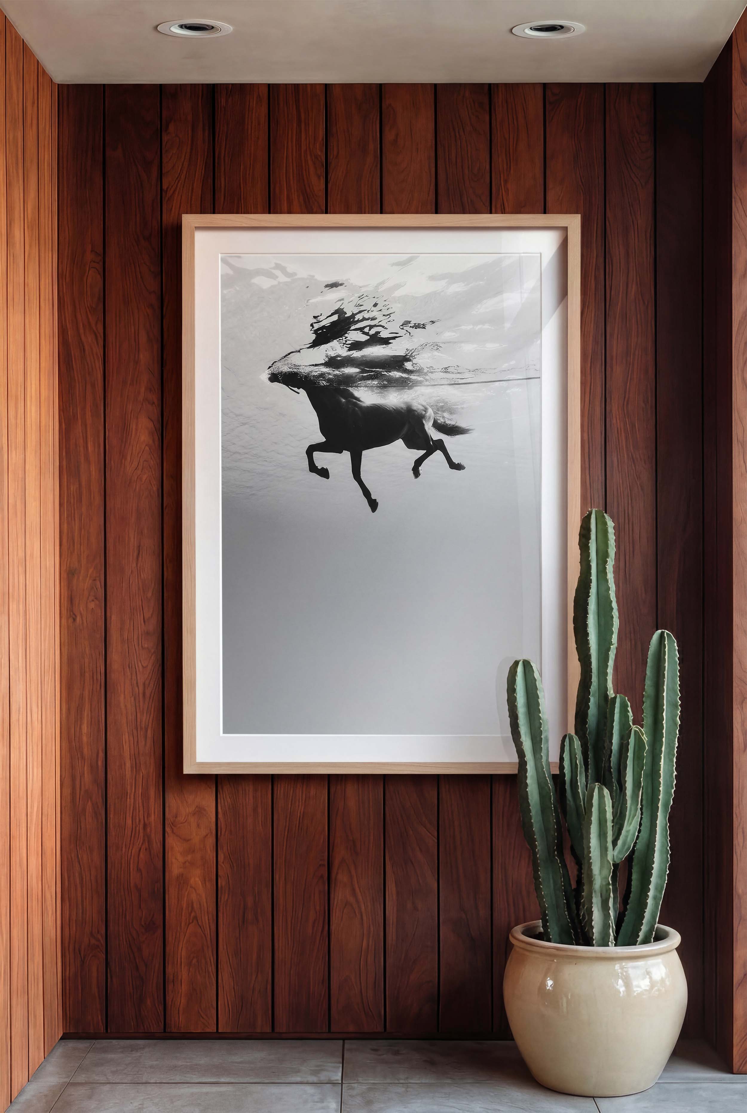 Framed artwork of a horse in water on a wooden wall with a potted cactus.