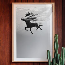 Framed artwork of a horse underwater on a wooden wall with a cactus plant.
